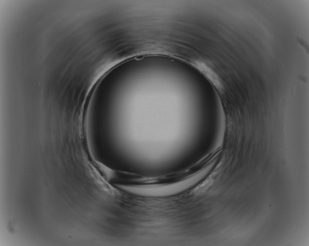 X0000091901052200709051359