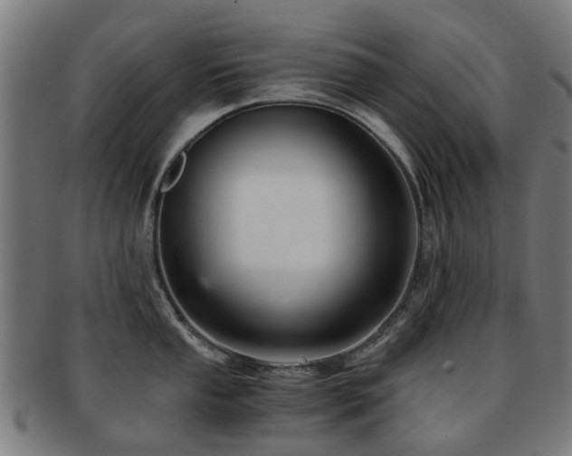 X0000091901053200709051359