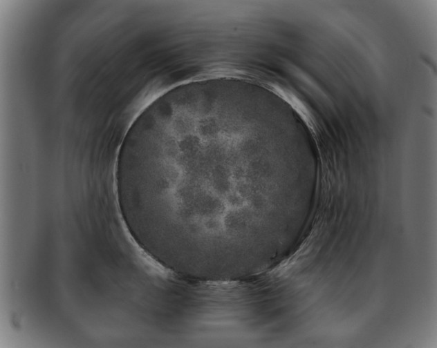 X0000091901055200709051359