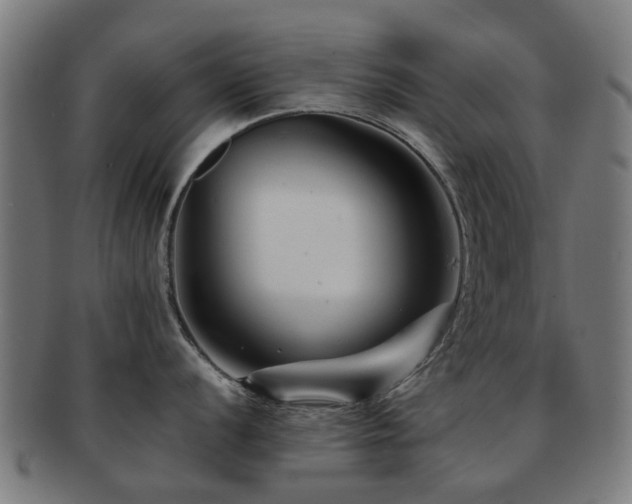 X0000091901056200709051359