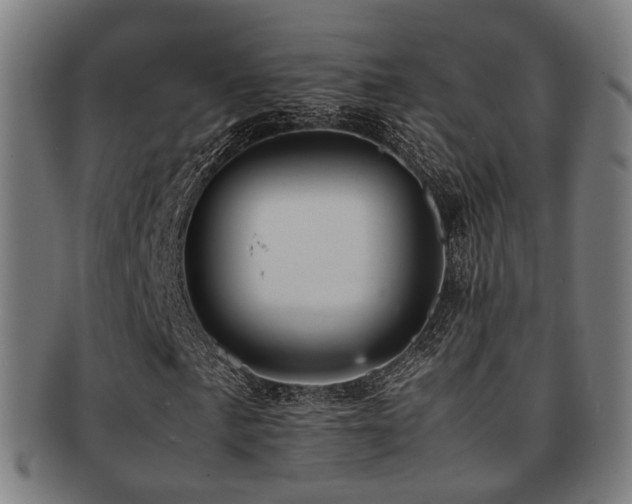 X0000091901057200709051359