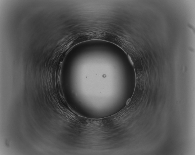 X0000091901058200709051359
