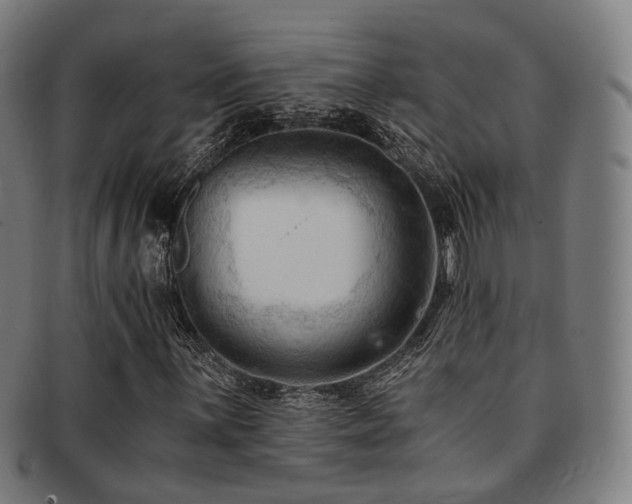 X0000091901059200709051359