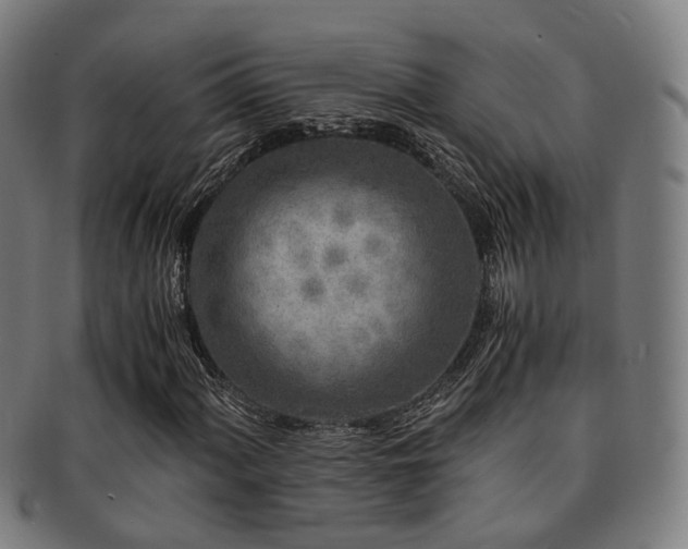X0000091901060200709051359