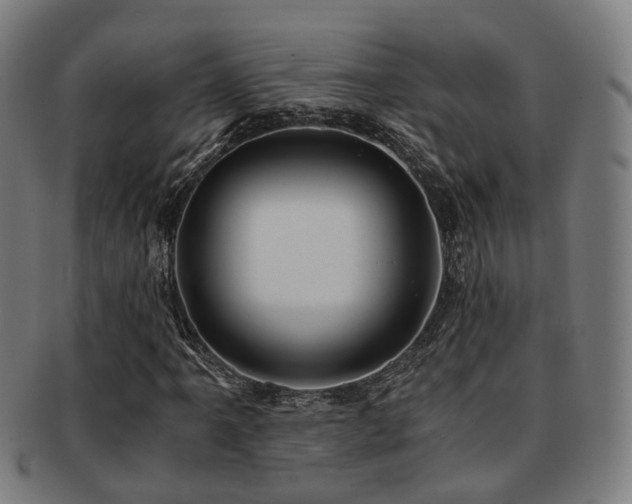 X0000091901061200709051358