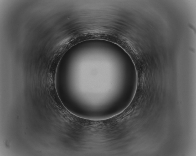 X0000091901062200709051358
