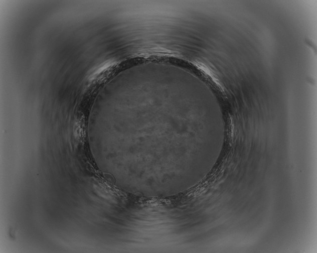 X0000091901063200709051358
