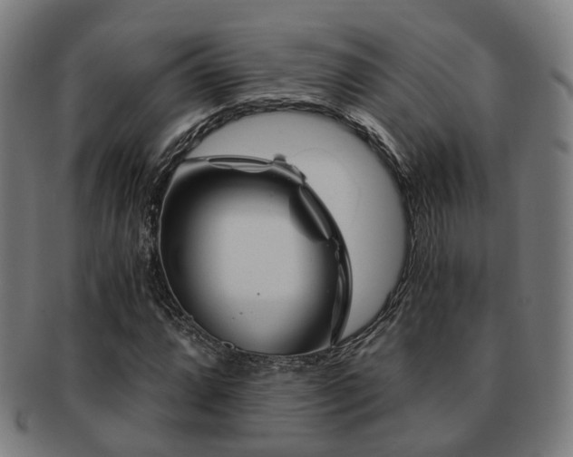 X0000091901064200709051358