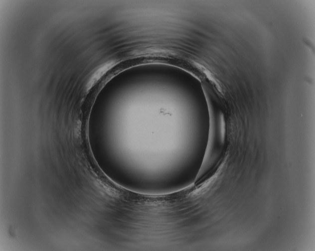 X0000091901066200709051358
