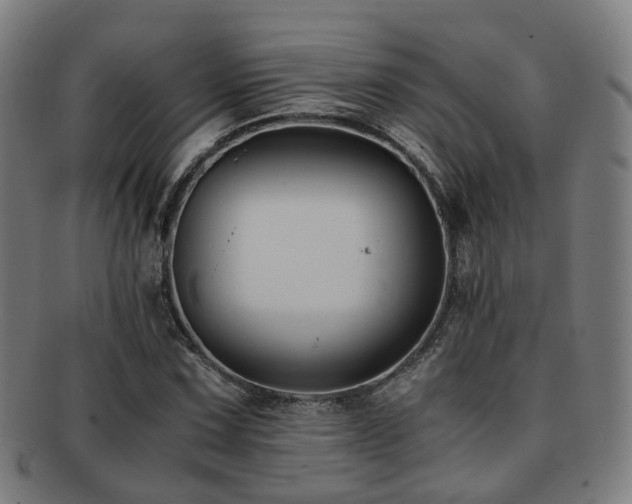 X0000091901067200709051358
