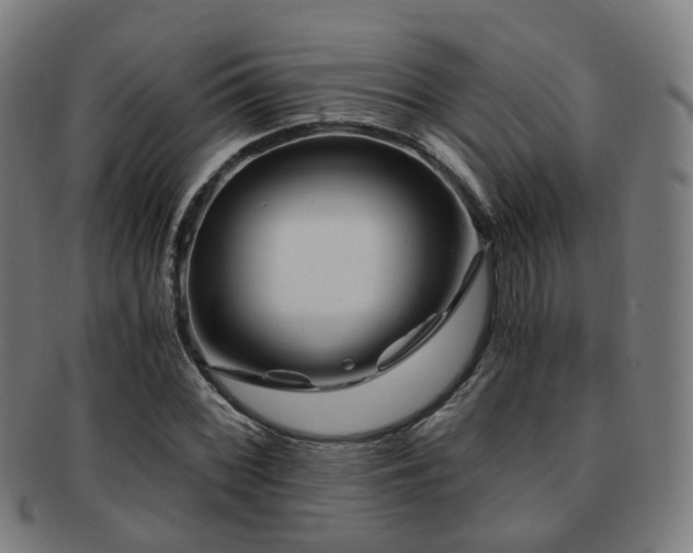 X0000091901068200709051358