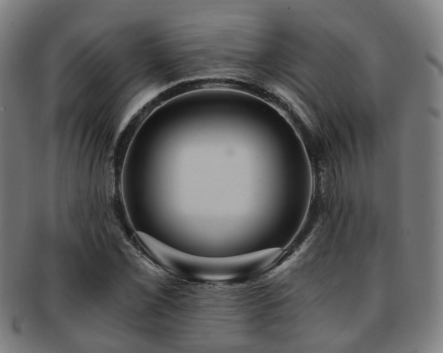 X0000091901069200709051358