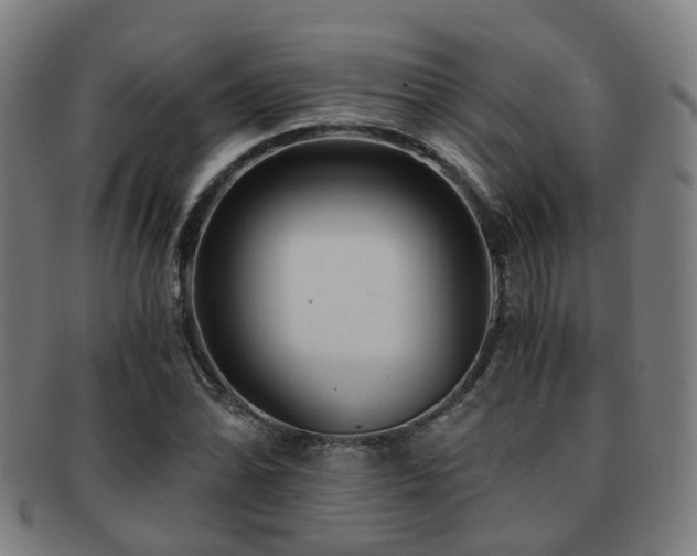 X0000091901070200709051358