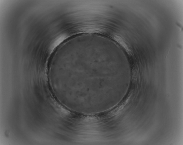 X0000091901071200709051358