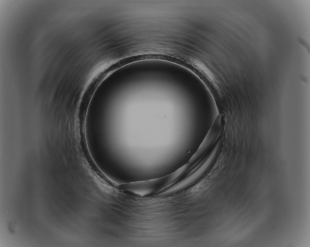 X0000091901072200709051358