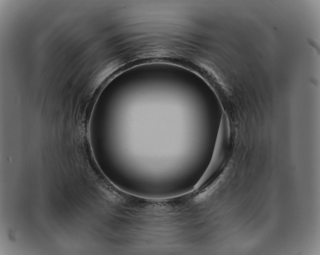 X0000091901073200709051358