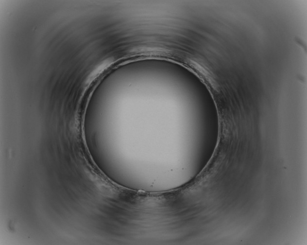 X0000091901074200709051358