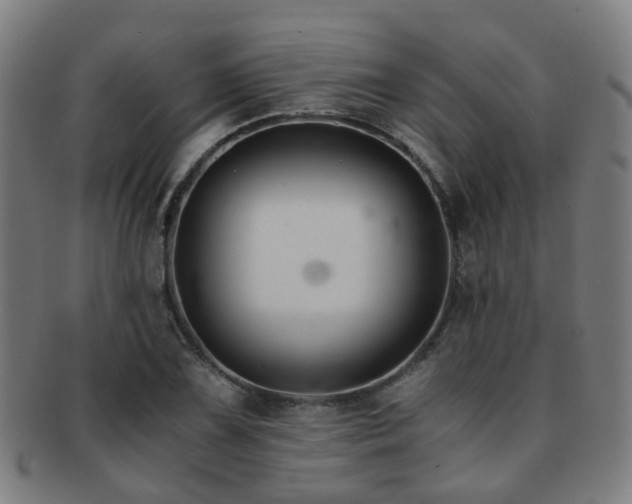 X0000091901075200709051358