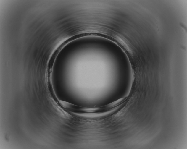 X0000091901076200709051358