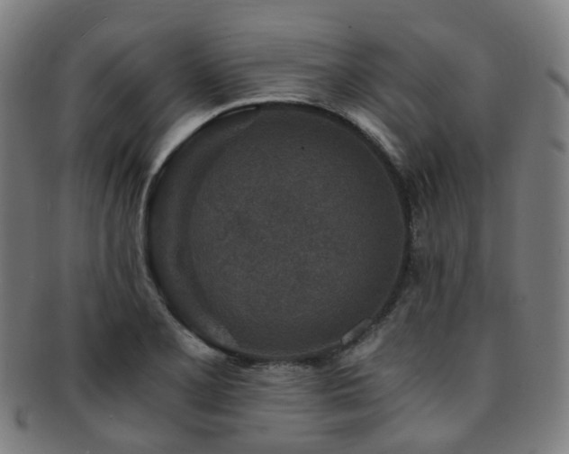 X0000091901077200709051358