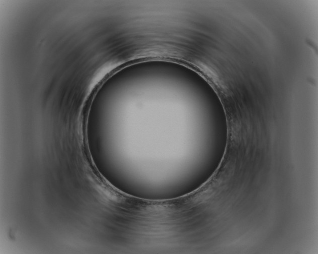 X0000091901078200709051358