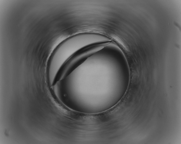 X0000091901079200709051358