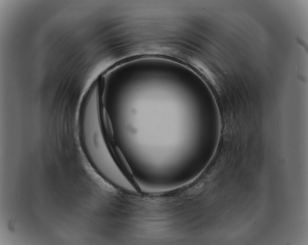 X0000091901080200709051358