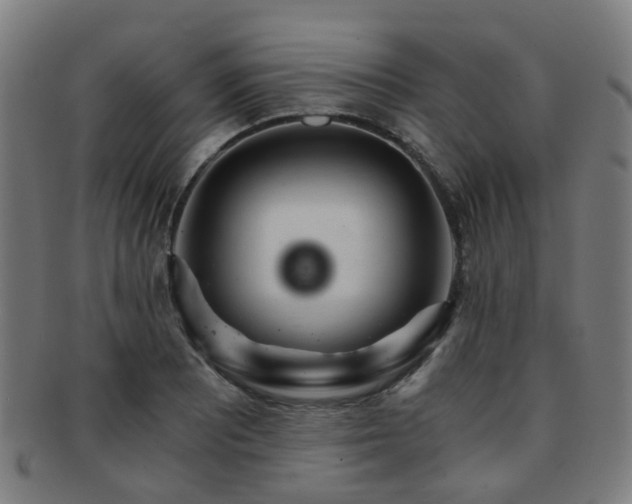 X0000091901081200709051358