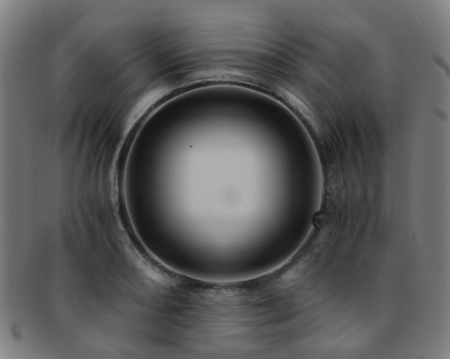 X0000091901082200709051358