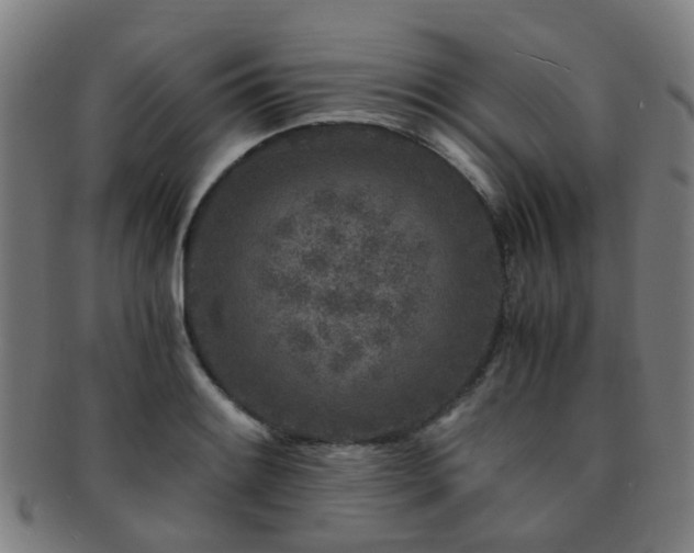 X0000091901084200709051358