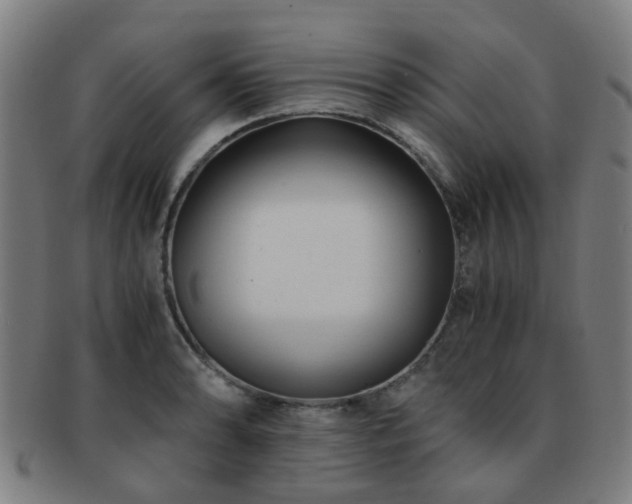 X0000091901086200709051358