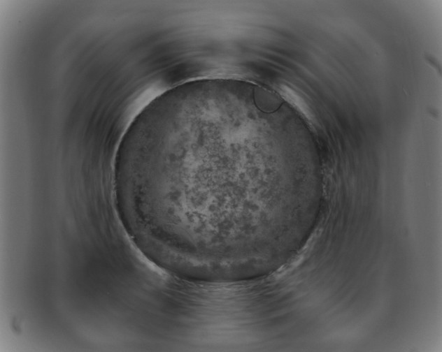 X0000091901087200709051358