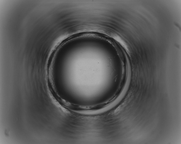 X0000091901088200709051358