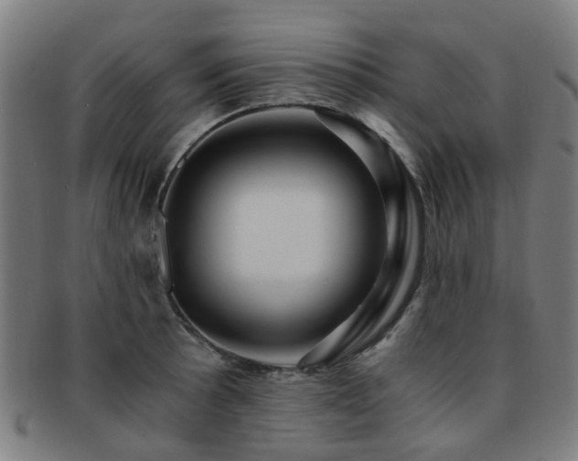 X0000091901089200709051358