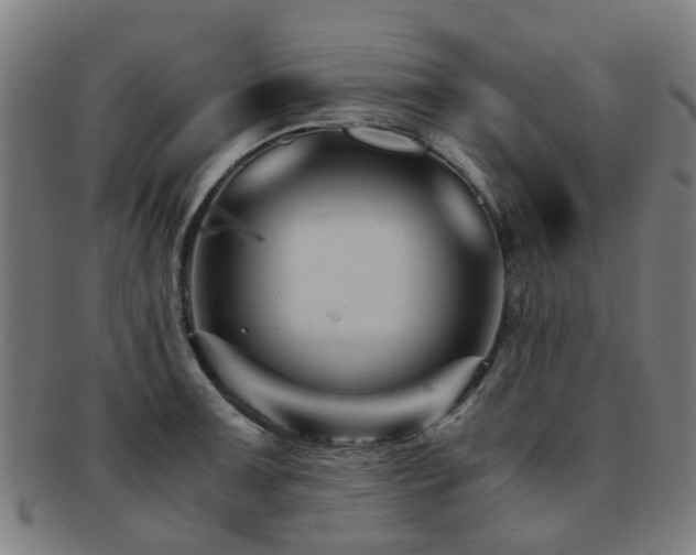X0000091901091200709051358