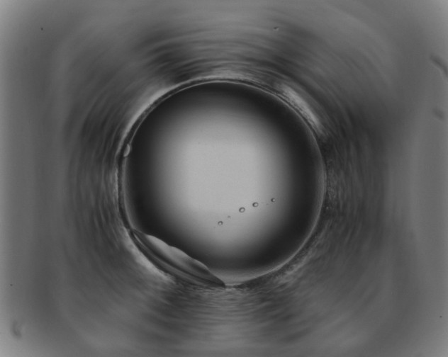 X0000091901092200709051358