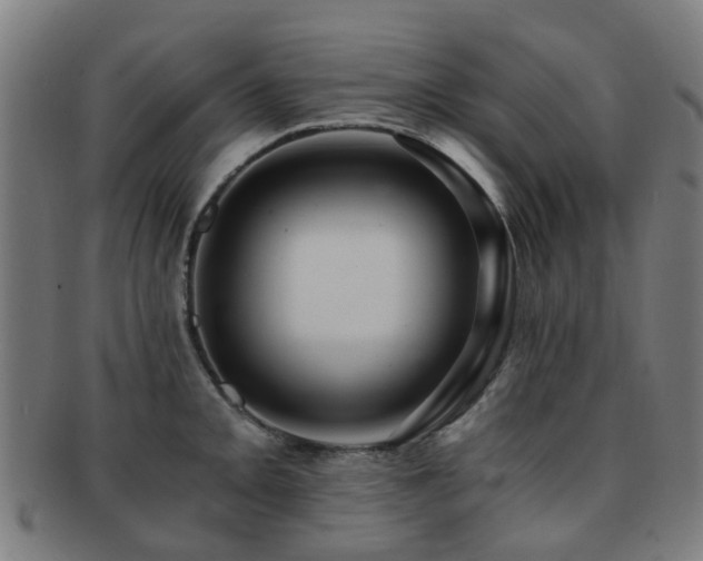 X0000091901093200709051358