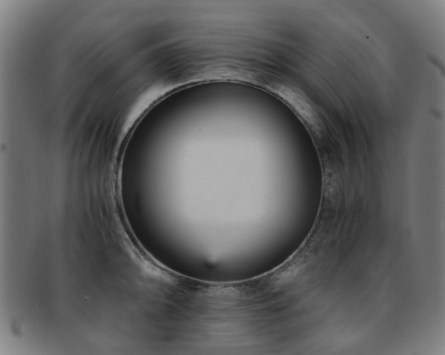 X0000091901094200709051358