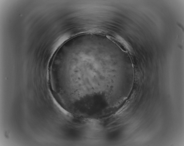 X0000091901095200709051358