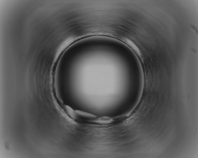 X0000091901096200709051358