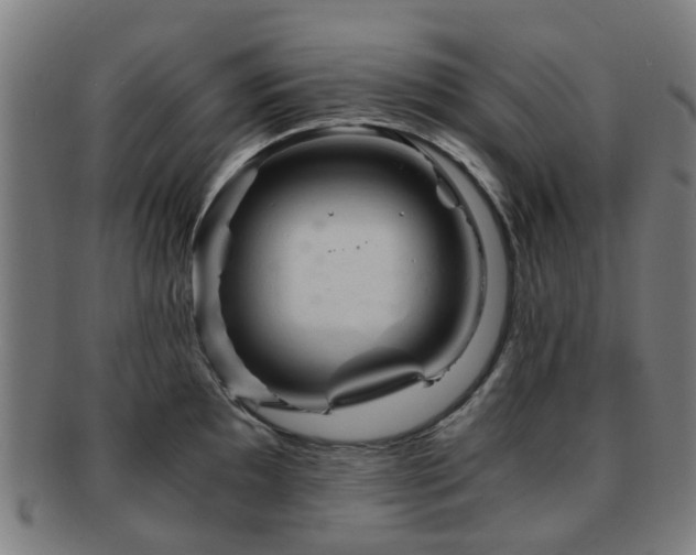 X0000091901097200709051358
