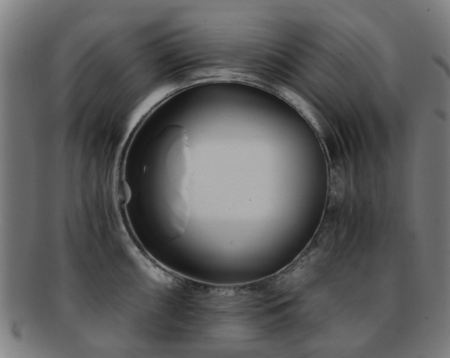 X0000091901098200709051358
