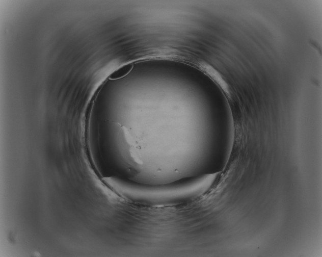 X0000091901099200709051358