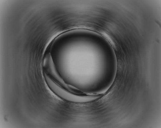 X0000091901100200709051358
