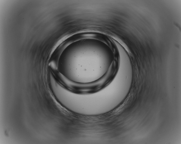 X0000091901101200709051358