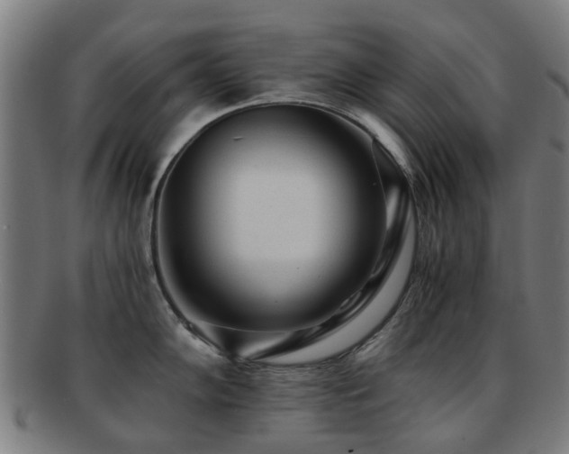 X0000091901102200709051358