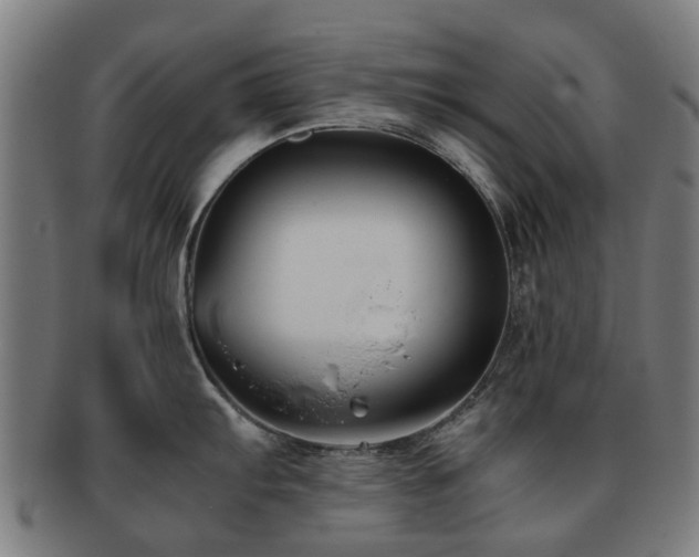 X0000091901103200709051358