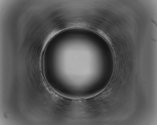 X0000091901104200709051358