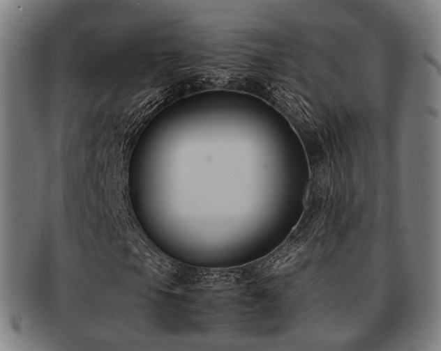 X0000091901105200709051357