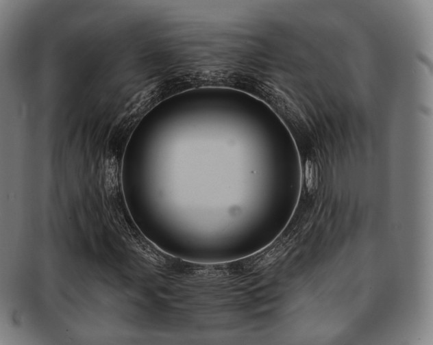 X0000091901107200709051357